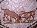 BARDO 00 (23)